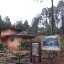 힐링우드 이미지