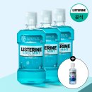 리스테린 쿨민트 1L 3개 세트, 켄뷰 공식몰 분석 후기