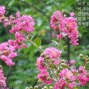 오늘더;예쁘다 Daum카페