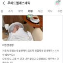 루체드엘 - 31802 | 루체드엘