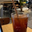 둔산대로 이미지