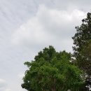 나산실용예술중학교 이미지