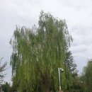 산들공원 이미지