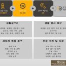 꽃눈스테이
