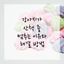 산책동물병원 이미지