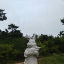 비토섬신우리조트 이미지