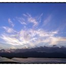 동편농장 이미지