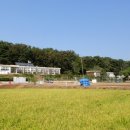 서도중학교 볼음분교 이미지