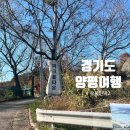 물과숲민박 | [양평] &#39;수풀민박2&#39; 독채 감성숙소 힐링숙소 , 숲속 작은 글램핑 내돈내산 후기