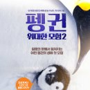 펭귄 이미지