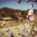 계절여행 이미지