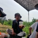 김미옥 농장 이미지