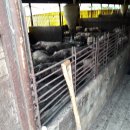 토지2농장 이미지