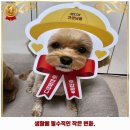 견생냥품 김해장유점 이미지