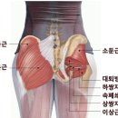 약손체형교정클리닉