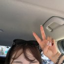 평화로(2) | 제주살이 초보운전, 평화로 출퇴근하는 분노의 질주 제주 일상 2