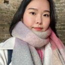 백야왕떡볶이 | 이번주 스페셜 포토덤프는요..?!