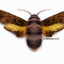 털보산장 이미지