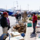 나무한그루 이미지