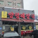 양평해장국 양지점 | [양지맛집] 해장하러 갔다가 술 마시고 나올 뻔... ‘양평해장국 양지점’에서 인생 내장탕