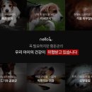드라이세상 이미지