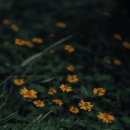 킹덤치과의원 이미지