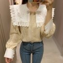 아이보리 이미지