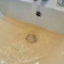 대호세탁 이미지