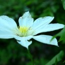 먼당농장 이미지