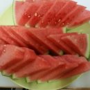 대박민박 이미지