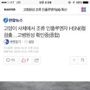 고양이 사체에서 조류 인플루엔자 H5N6형 검출…고병원성 확인중(종합) 이미지