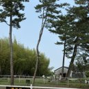 은호목장 이미지