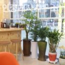 친한공인중개사사무소 이미지