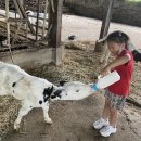 금와목장 이미지