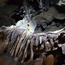 광천목장 이미지