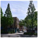 봉곡동126 이미지