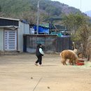 집현다방