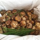 내린천약초 이미지