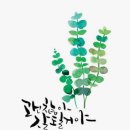괜찮아잘될거야