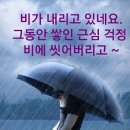 빗속을 둘이서ㅡ김 보경 노래ㅡ 이미지