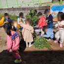 신임마누엘어린이집 이미지