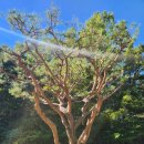 가야컨트리클럽하우스 이미지