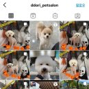 또리네 Petsalon 네이버블로그