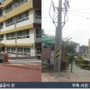 화성초등학교 티스토리