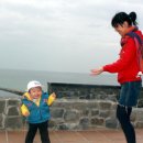 주문진항문어 이미지