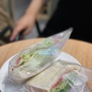 가토프레소 - 95512 | 가토프레소