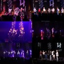 엘라스트 카카오 검색결과