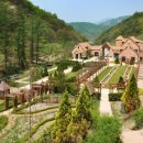 제이드팜 이미지