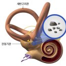 위담한의원 이미지