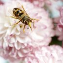 코비한의원 이미지